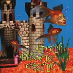Little Plastic Castle by Ani DiFranco (CD, Feb-1998, Righteous Babe Records)