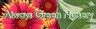 alwaysgreenursery