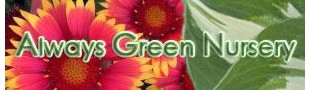 alwaysgreenursery