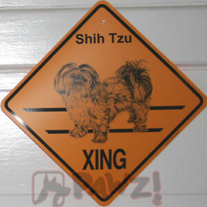 Shih+tzu+puppy+cut+how+to