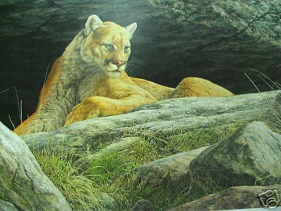 Jorge J. Mayol Cougars Ledge; Rare Signed Print  