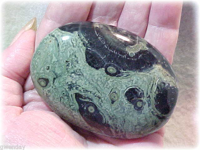   KAMBABA JASPER FOSSIL ALGAE LARGE 4.5oz RESPECT ALL LIFE FORMS  