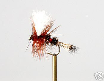 10 Royal Wulff Dry Fly Fishing Flies all sizes  