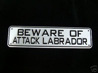 BEWARE OF ATTACK LABRADOR sign puppy mutt chihuahua  