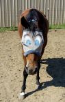 gerrybignose