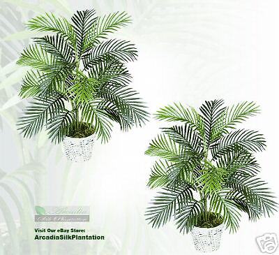 Two 3 Areca Artificial Palm Trees Silk Plants New 113  