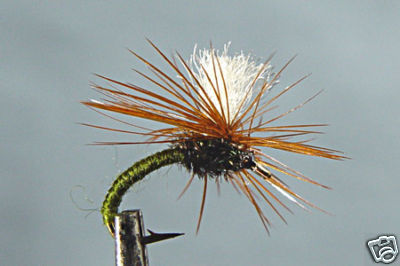 10 Mouches Sèches Klinkhamer Special - Tailles H12/14/16 - Pêche à La Mouche Rivière
