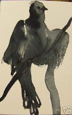 BIRD DRAWING INK WASH ORIGINAL POSTCARD WATERCOLOR NEW  