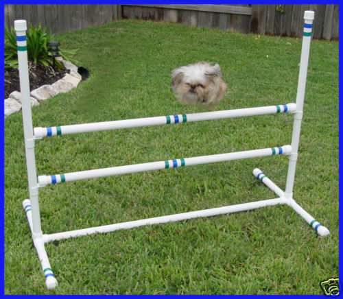 New Double Crossbar Single Jump Dog Agility Equipment